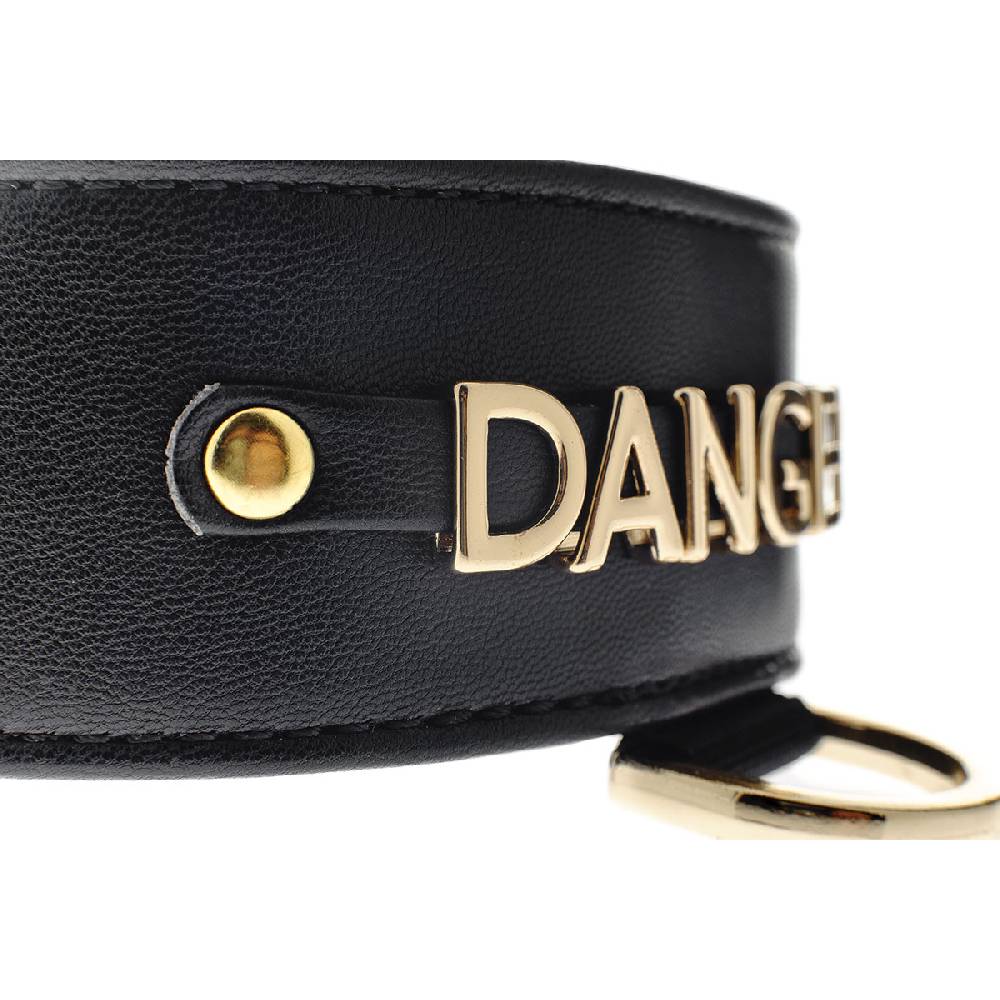 Le Dangerouge Danger big dog collar Shopping Online