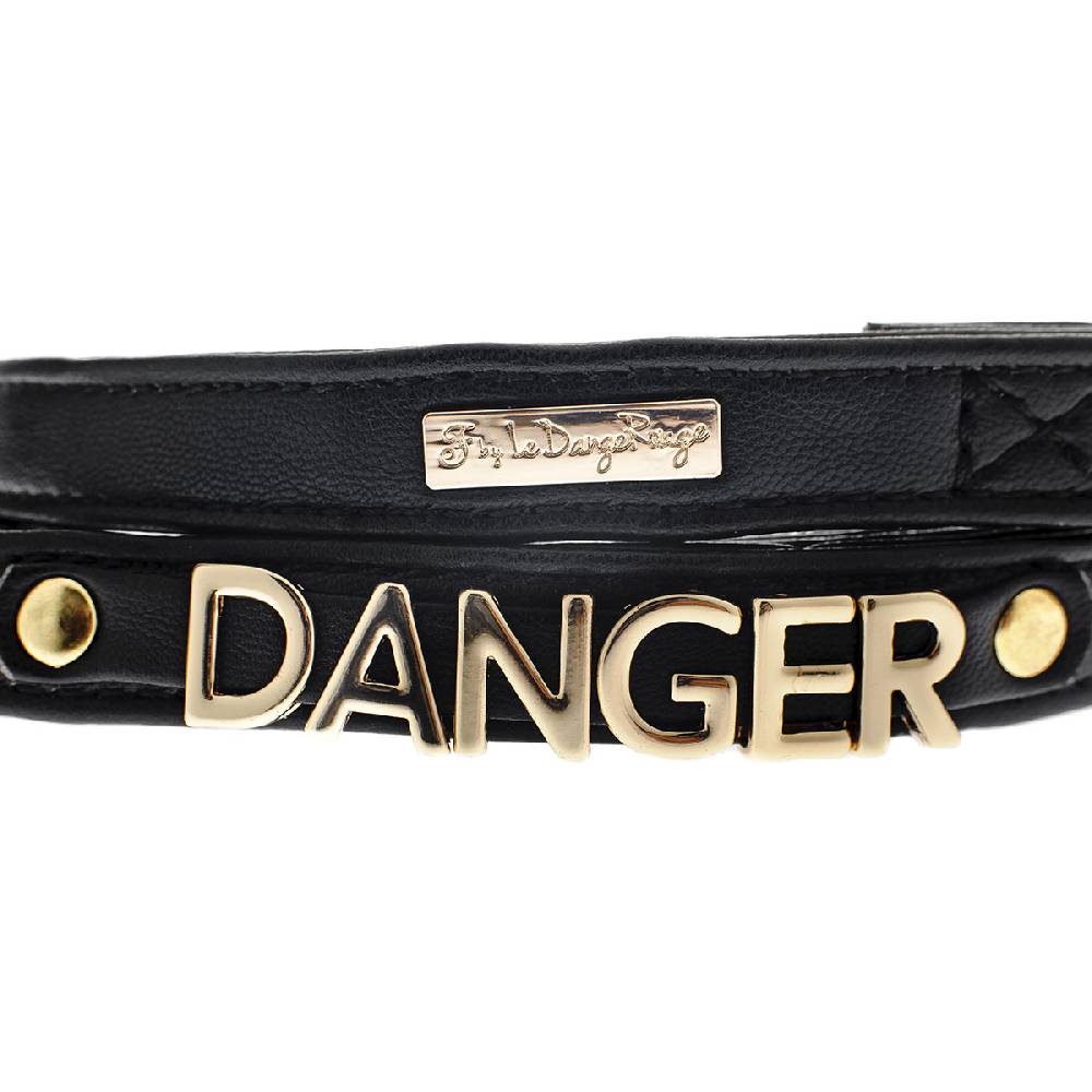 Le Dangerouge Danger dog leash Affare Del Giorno