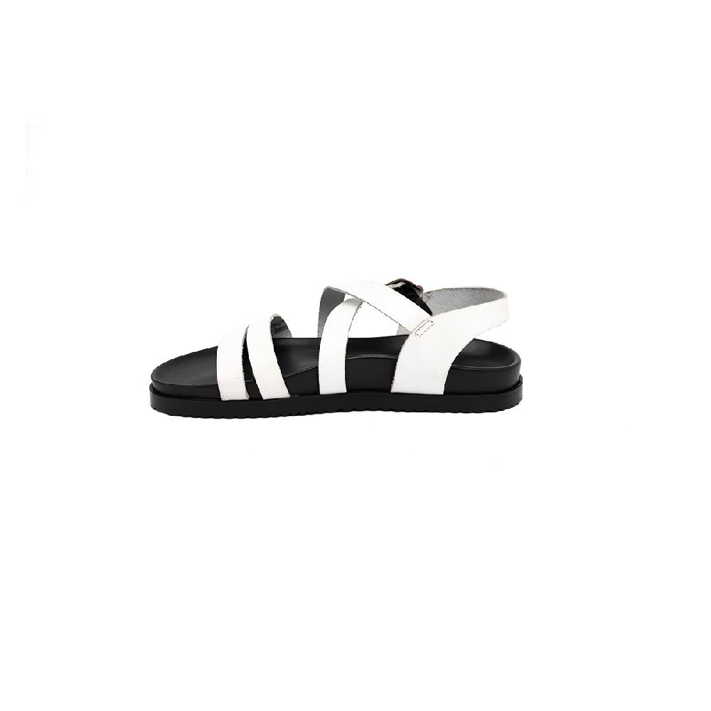J.P. David Brio Promozione