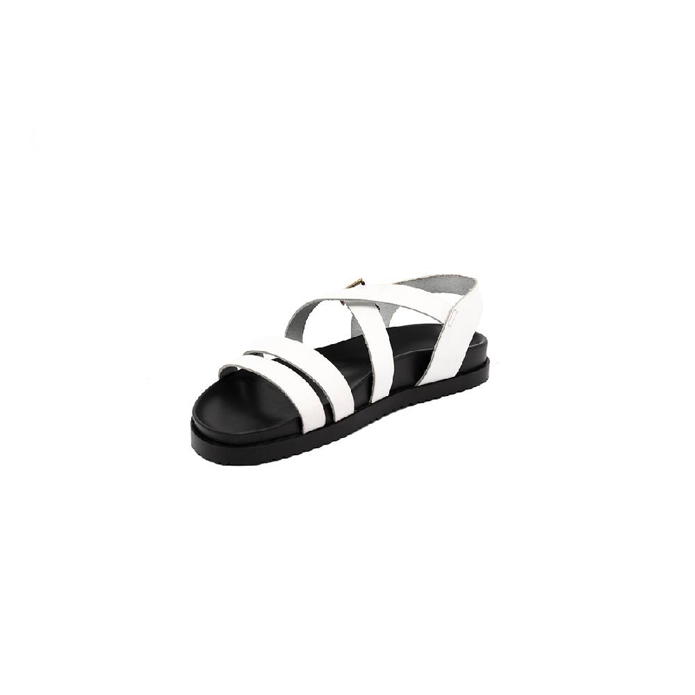 J.P. David Brio Promozione