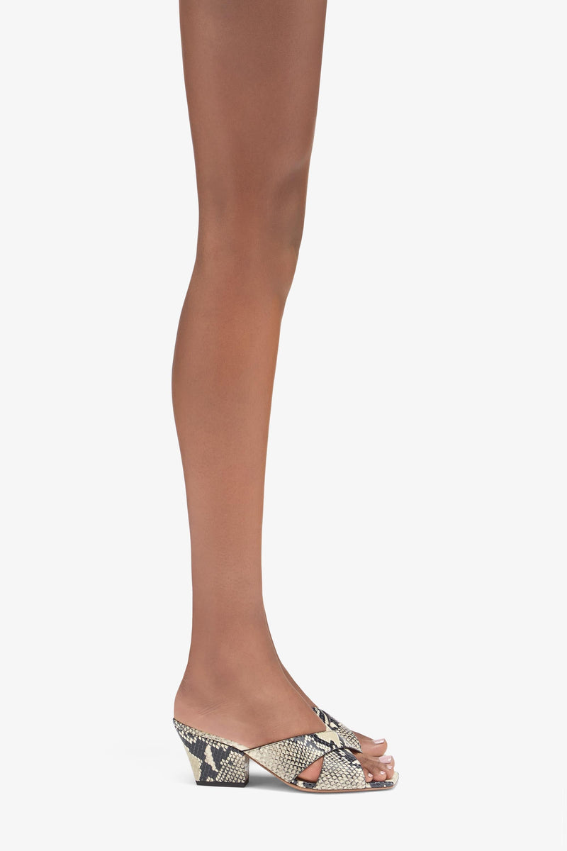 Paris Texas Arizona Mule 60 Offerta migliore
