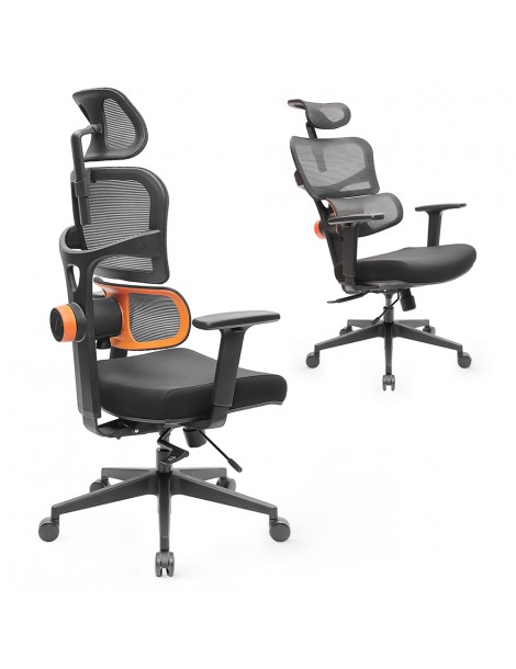 NEWTRAL Sedia Standard NT001 Sedia ergonomica adattiva con supporto per la parte bassa della schiena Online