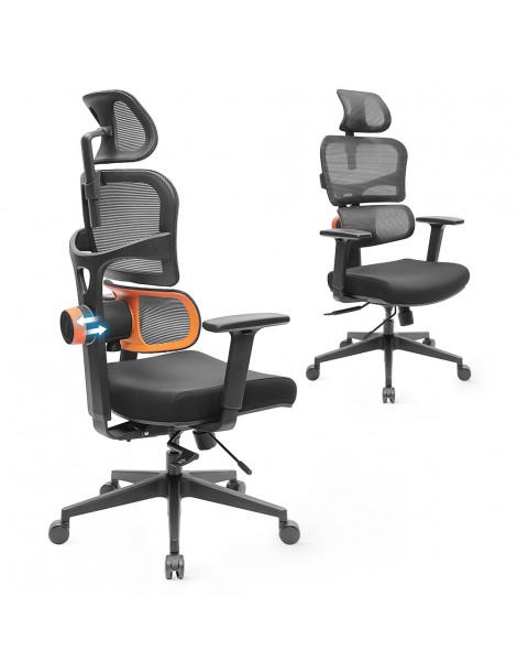 NEWTRAL Sedia Standard NT001 Sedia ergonomica adattiva con supporto per la parte bassa della schiena Online