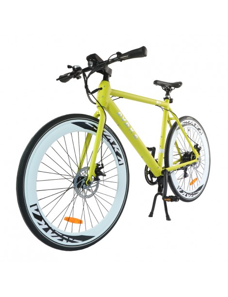 AVAKA R1 Bicicletta elettrica 250W Motore Batteria 9Ah- Verde Presa