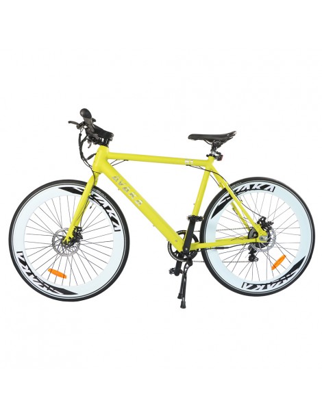 AVAKA R1 Bicicletta elettrica 250W Motore Batteria 9Ah- Verde Presa