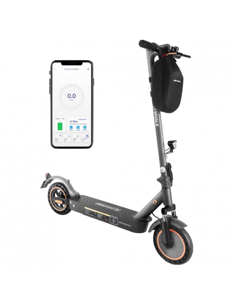HONEYWHALE E9 MAX con omologazione stradale (ABE) scooter elettrico pieghevole con motore da 500W batteria da 36V 10Ah Italia