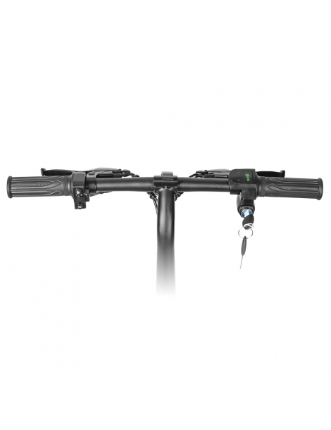 LAIFOOK Dolphin Bici Elettrica Pieghevole Motore 250W Batteria 36V 7.8AH Pneumatico 14 pollici - Nero Spedizione Gratuita