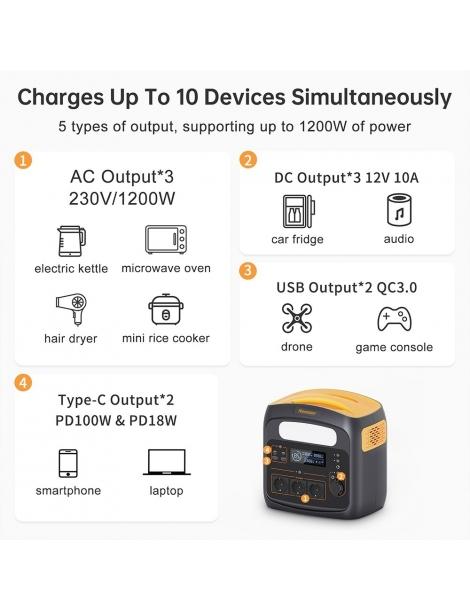 Newsmy N1200 Stazione di alimentazione portatile batterie LiFePO4 da 921Wh Vendita