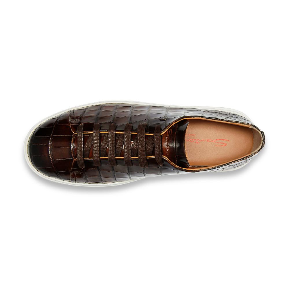 Santoni Sneaker da uomo in alligatore testa di moro Novità
