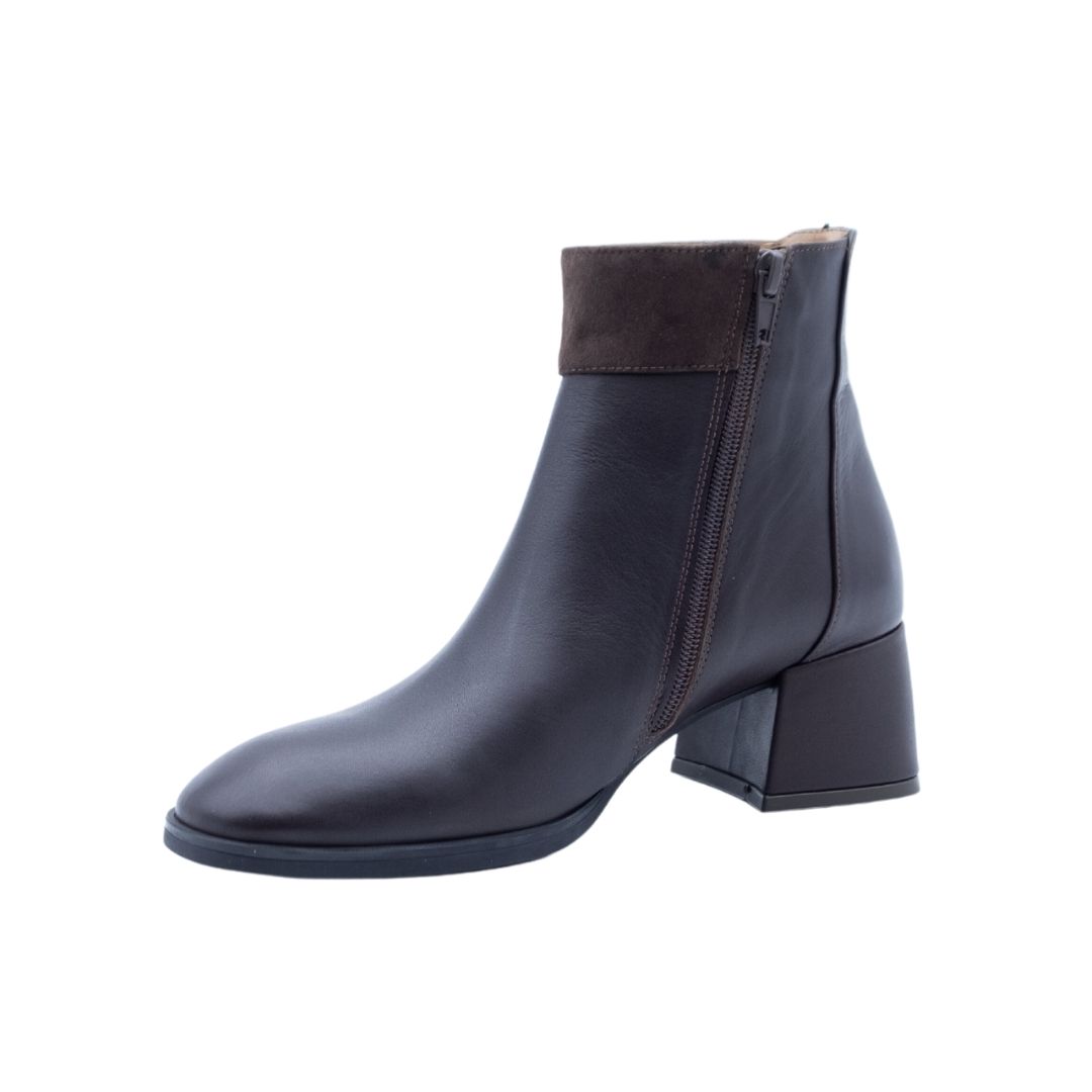 ALBANO Tronchetto moro Moda